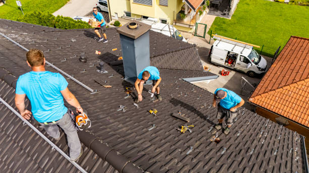 roof cleaning cover